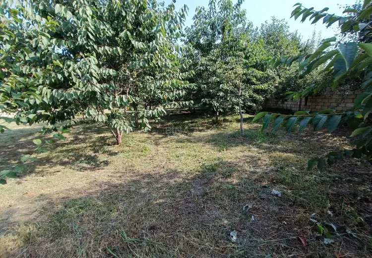 5 sot Torpaq Satılır, Quba