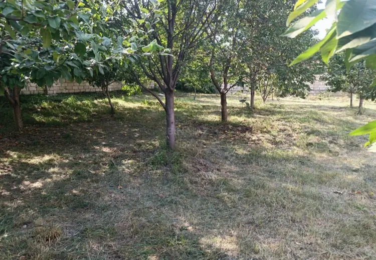5 sot Torpaq Satılır, Quba
