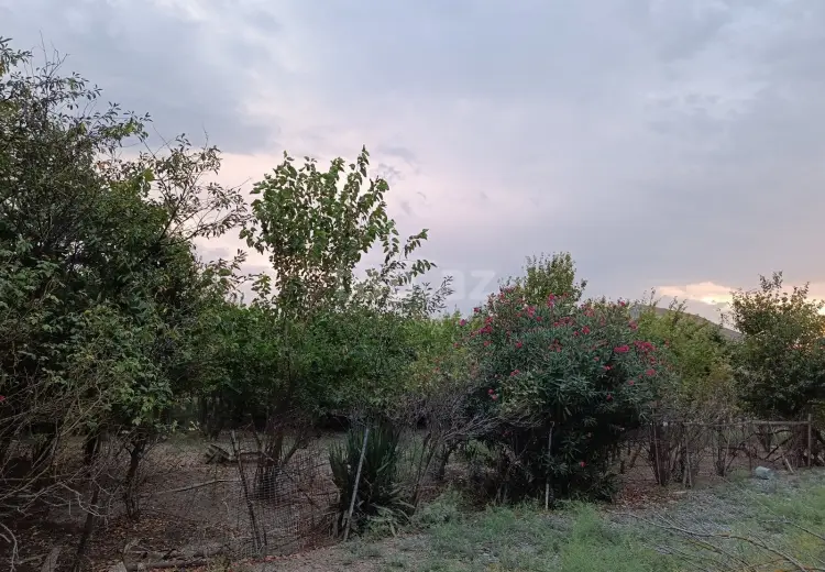 5 otaqlı mənzil , Biləsuvar