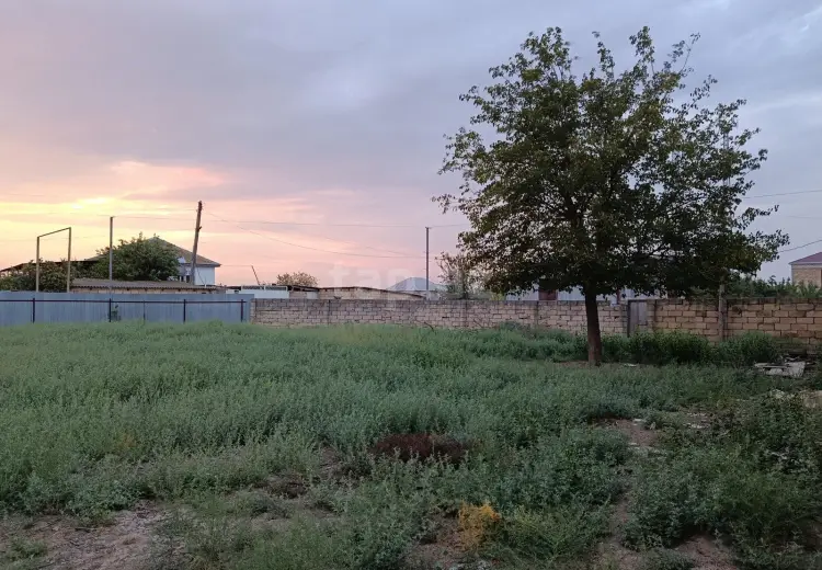 5 otaqlı mənzil , Biləsuvar