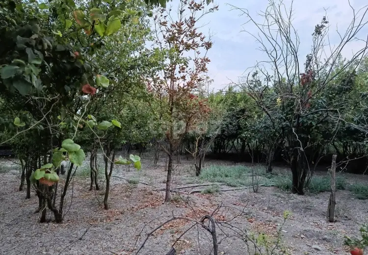 5 otaqlı mənzil , Biləsuvar