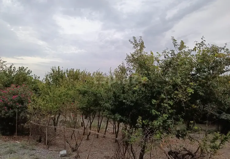 5 otaqlı mənzil , Biləsuvar