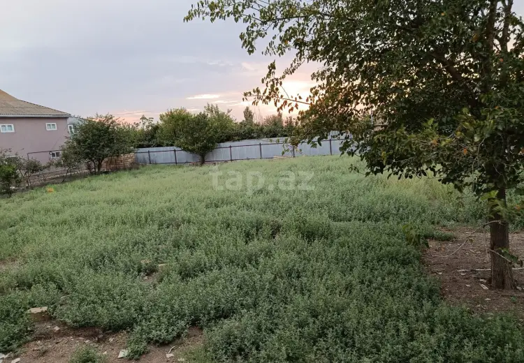 5 otaqlı mənzil , Biləsuvar