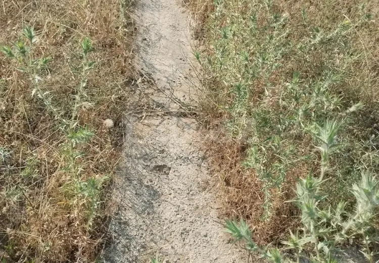 0 m² Obyekt / Ofis , Fatmayı, Abşeron