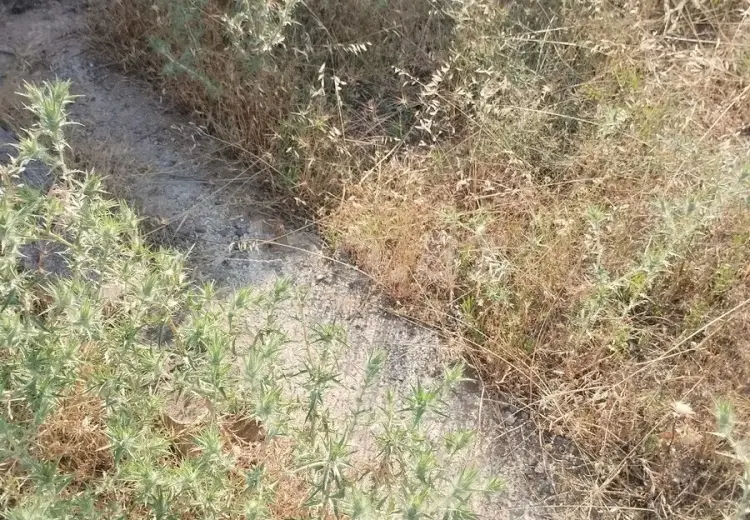 0 m² Obyekt / Ofis , Fatmayı, Abşeron