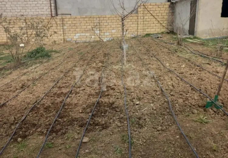 10 otaqlı mənzil , Savalan qəs., Sabunçu, Bakı