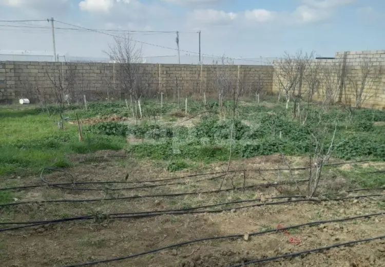 10 otaqlı mənzil , Savalan qəs., Sabunçu, Bakı