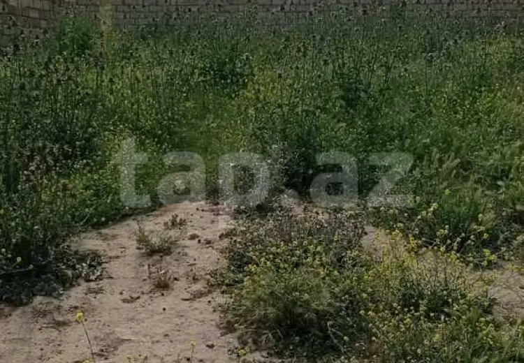 0 m² Obyekt / Ofis , Novxanı, Abşeron