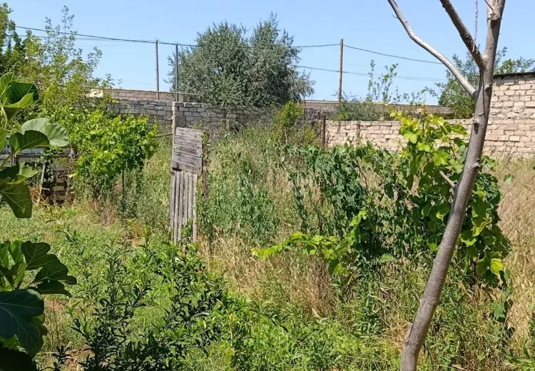 5 sot Torpaq Satılır, Sabunçu, Bakı
