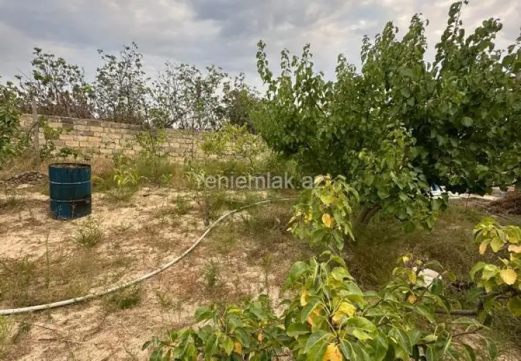 2 sot Torpaq Satılır, Qurd dərəsi, Sumqayıt