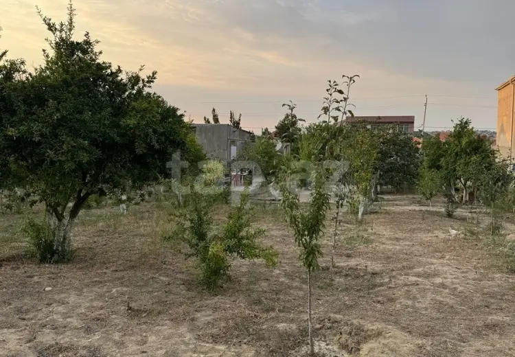 0 m² Obyekt / Ofis , Saray, Abşeron