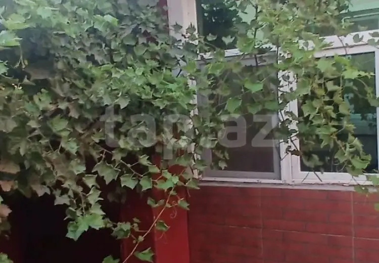 4 otaqlı mənzil , Saray, Abşeron