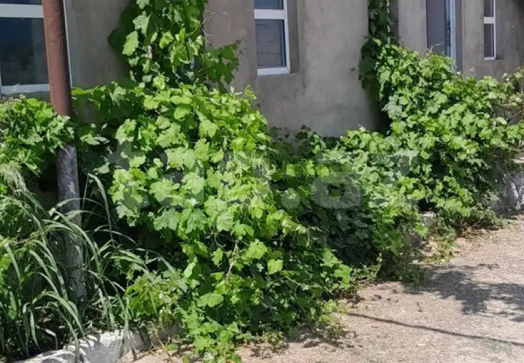 0 m² Obyekt / Ofis , Türkan, Xəzər, Bakı