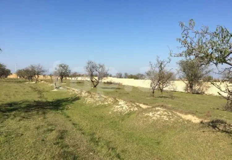 0 m² Obyekt / Ofis , Masazır, Abşeron