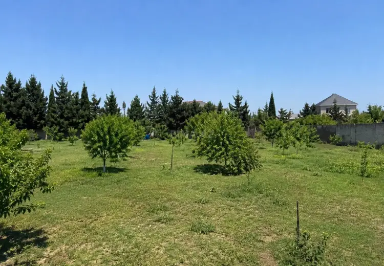 36 sot Torpaq Satılır, Bilgəh qəs., Sabunçu, Bakı