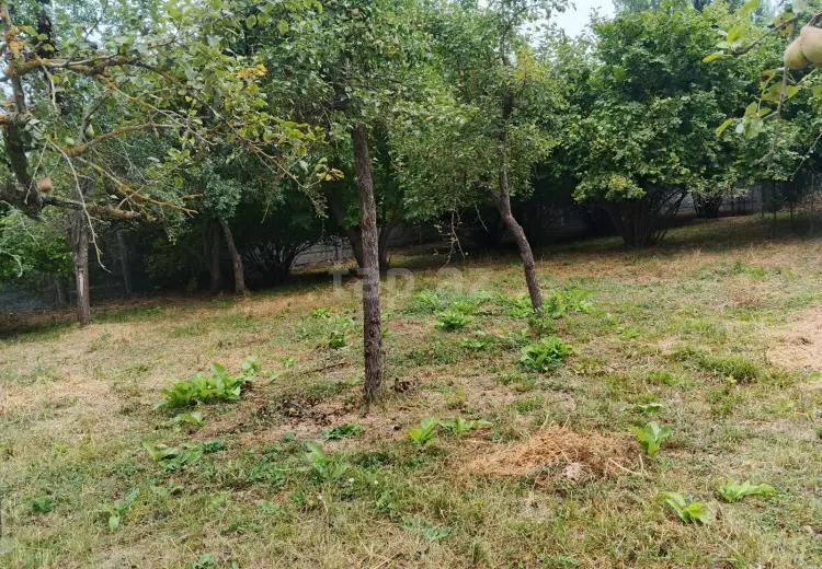 0 m² Obyekt / Ofis , İsmayıllı