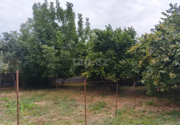 0 m² Obyekt / Ofis , İsmayıllı