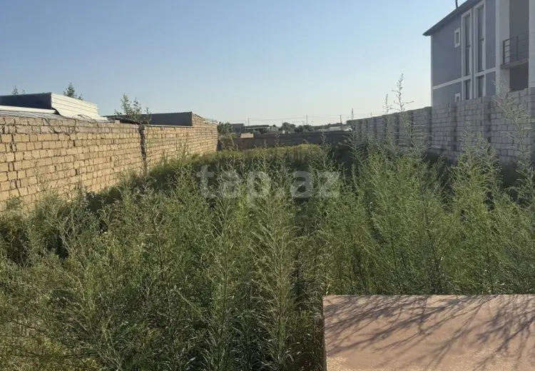 0 m² Obyekt / Ofis , Nardaran qəs., Sabunçu, Bakı