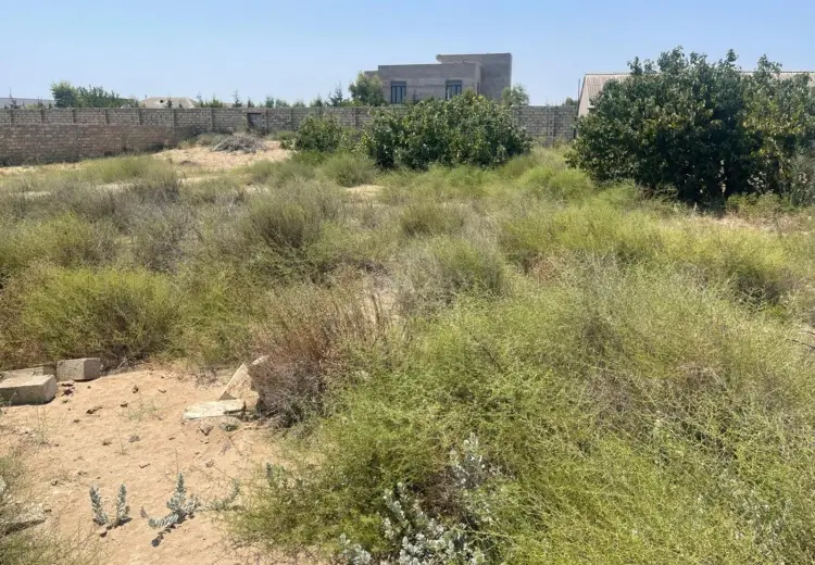 11 sot Torpaq Satılır, Kürdəxanı qəs., Sabunçu, Bakı