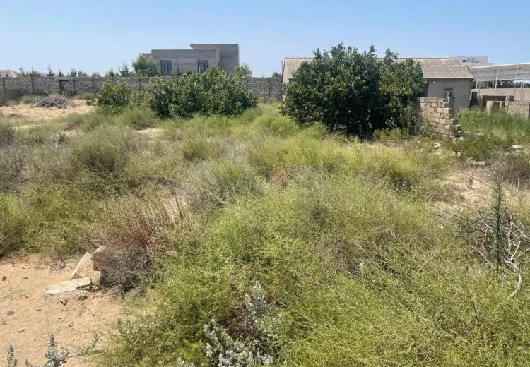 11 sot Torpaq Satılır, Kürdəxanı qəs., Sabunçu, Bakı