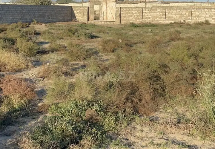 12 sot Torpaq Satılır, Nardaran qəs., Sabunçu, Bakı