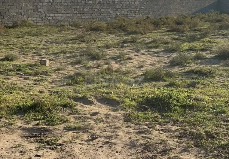 12 sot Torpaq Satılır, Nardaran qəs., Sabunçu, Bakı