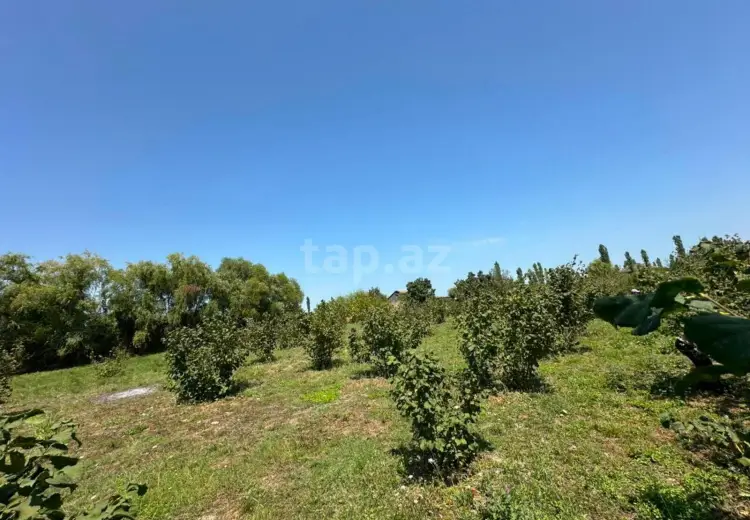 0 m² Obyekt / Ofis , Bakı