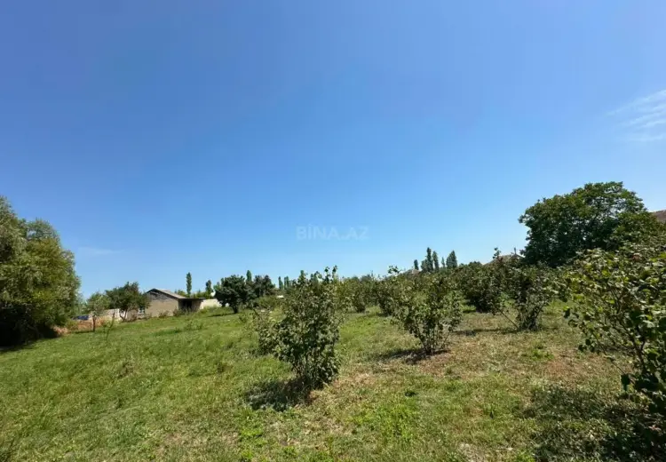 20 sot Torpaq Satılır, Xaçmaz