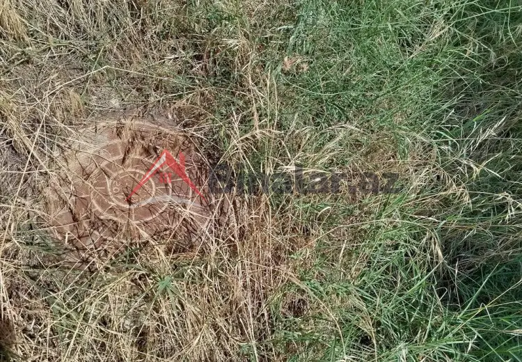 0 sot Torpaq Satılır, Bakı