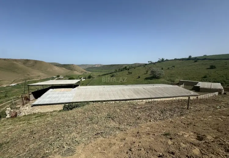 1000 sot Torpaq Satılır, Siyəzən