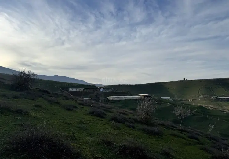 1000 sot Torpaq Satılır, Siyəzən
