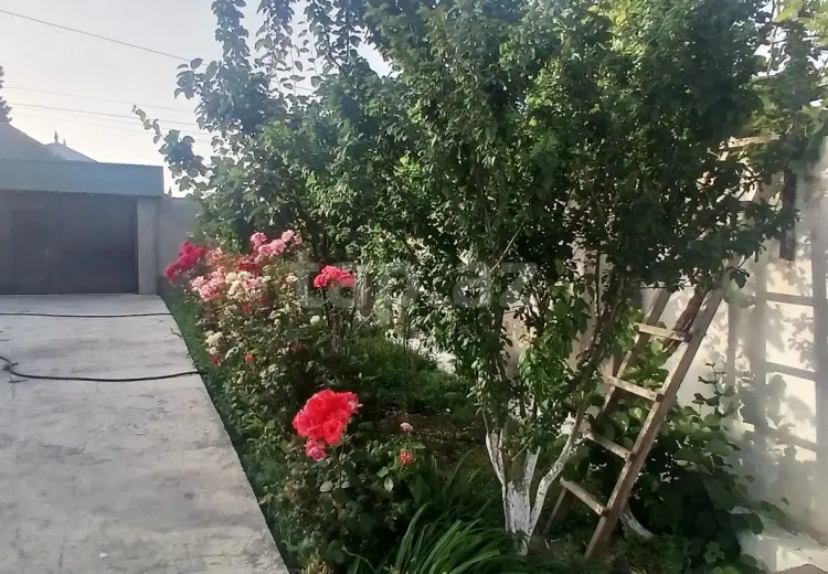 750 AZN - 6 otaqlı mənzil Kirayə (aylıq), Xaçmaz