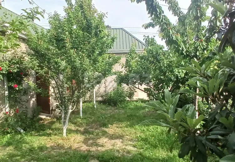 750 AZN - 6 otaqlı mənzil Kirayə (aylıq), Xaçmaz