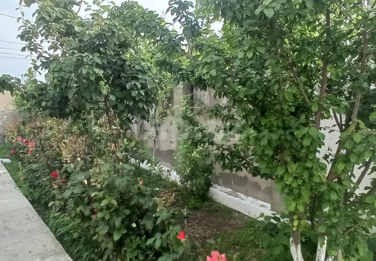 750 AZN - 6 otaqlı mənzil Kirayə (aylıq), Xaçmaz