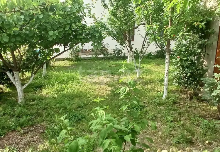 750 AZN - 6 otaqlı mənzil Kirayə (aylıq), Xaçmaz