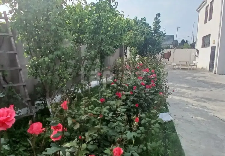 750 AZN - 6 otaqlı mənzil Kirayə (aylıq), Xaçmaz