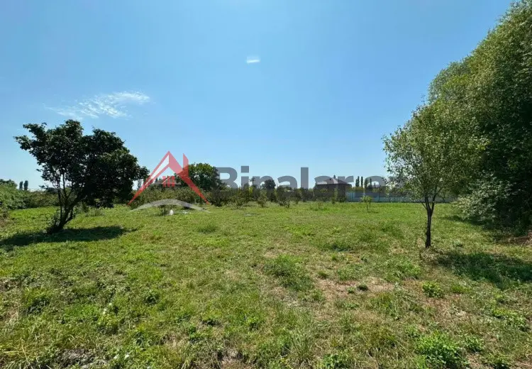 20 sot Torpaq Satılır, Xaçmaz