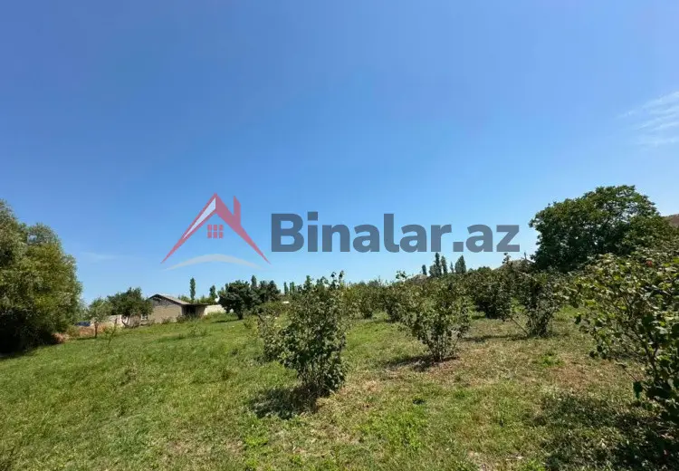 20 sot Torpaq Satılır, Xaçmaz