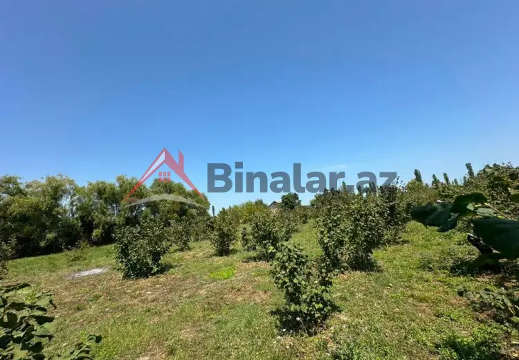 20 sot Torpaq Satılır, Xaçmaz