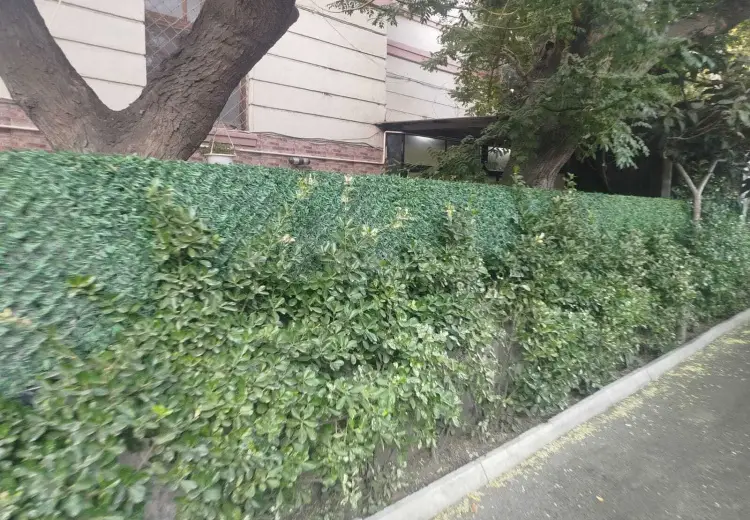 150 m² Obyekt / Ofis Kirayə (aylıq), Böyükşor qəs., Nərimanov, Bakı