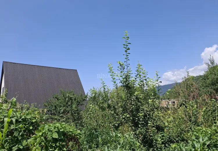 3.5 sot Torpaq Satılır, Qəbələ