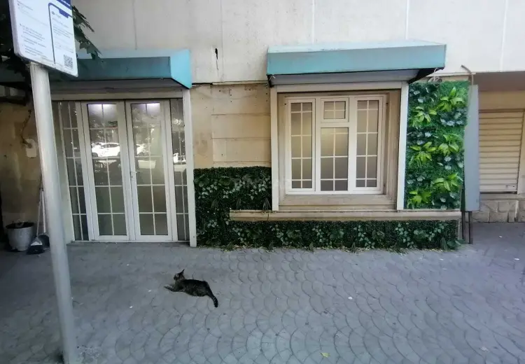 50 m² Obyekt / Ofis Kirayə (aylıq), Nəsimi, Bakı