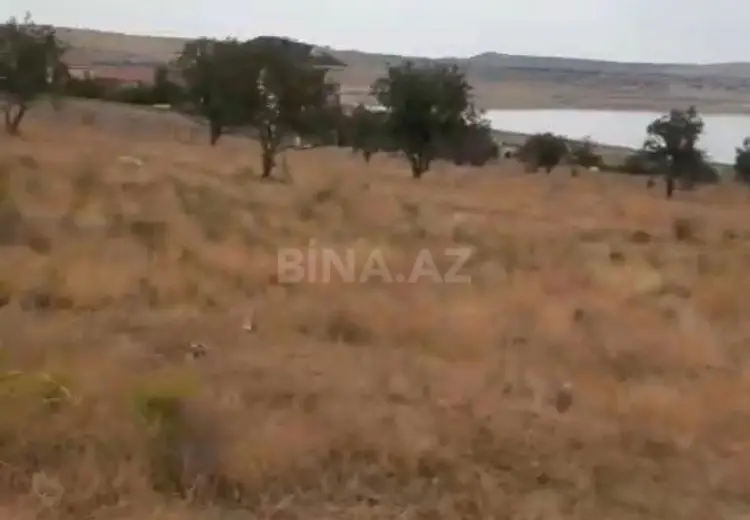188 sot Torpaq Satılır, Saray, Abşeron