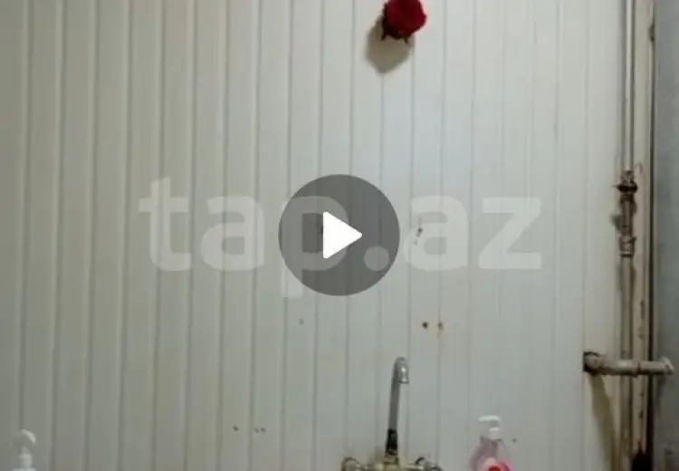 3 otaqlı mənzil , Gəncə