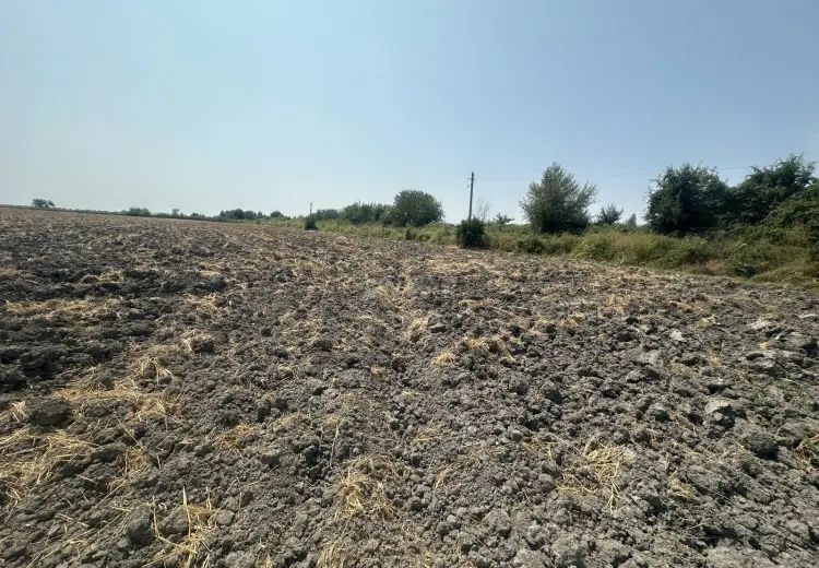 9.3 sot Torpaq Satılır, Bərdə