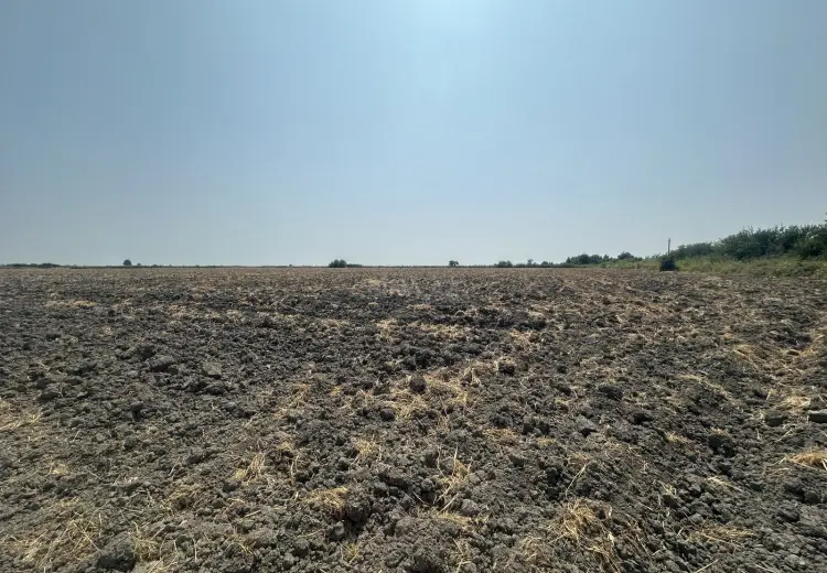 9.3 sot Torpaq Satılır, Bərdə