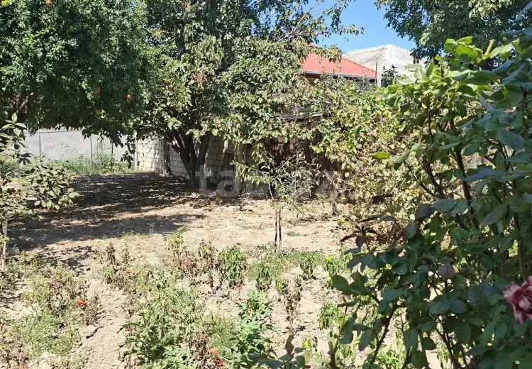 10 otaqlı mənzil , Sumqayıt
