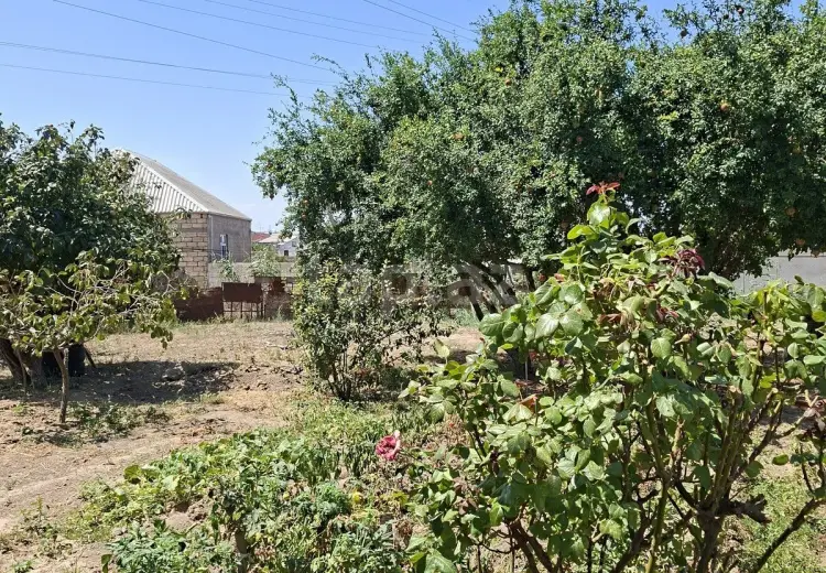 10 otaqlı mənzil , Sumqayıt