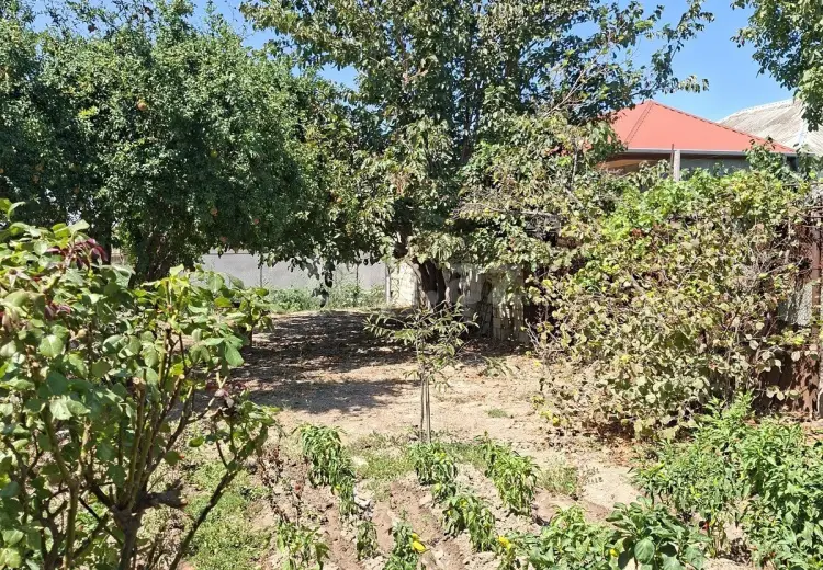 10 otaqlı mənzil , Sumqayıt