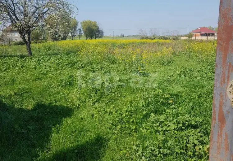 5 otaqlı mənzil , Masallı